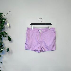 BDG purple shorts with stripes M